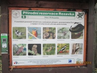 IMG_3762.jpg, 31kB
